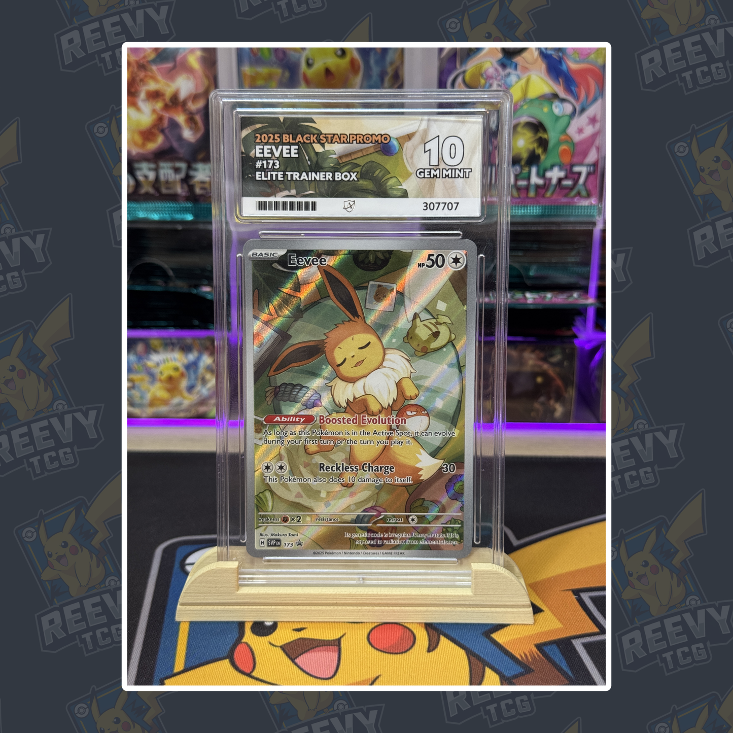 Reevy TCG - ACE/PSA Premium Card Stand