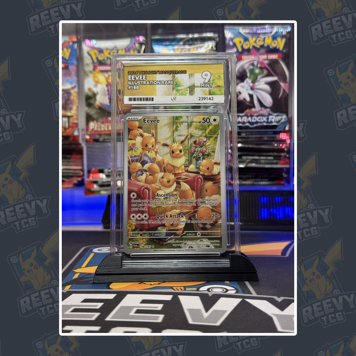 Reevy TCG - ACE/PSA Premium Card Stand