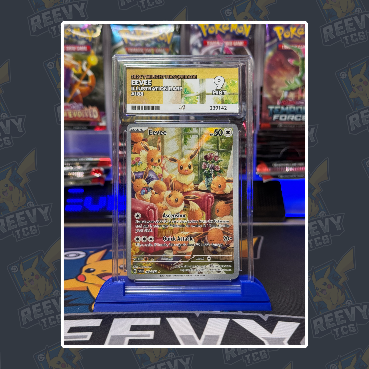 Reevy TCG - ACE/PSA Premium Card Stand