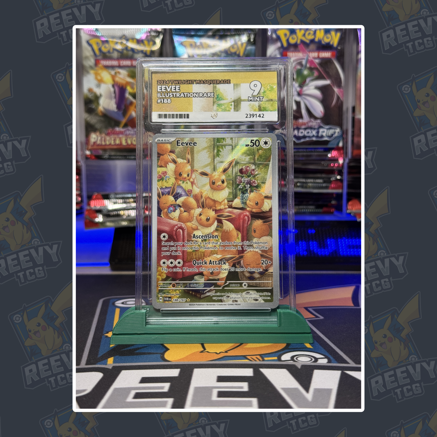 Reevy TCG - ACE/PSA Premium Card Stand