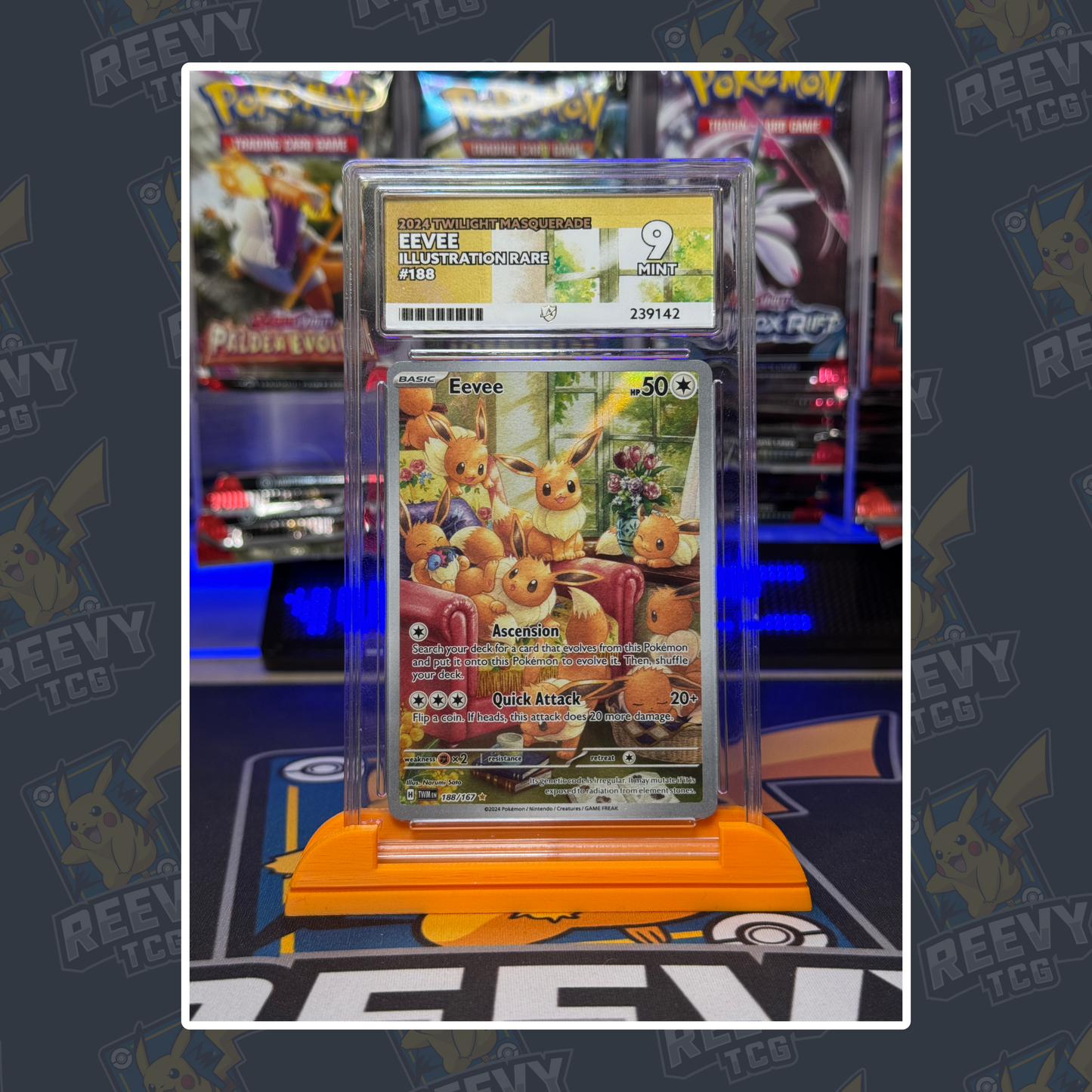Reevy TCG - ACE/PSA Premium Card Stand