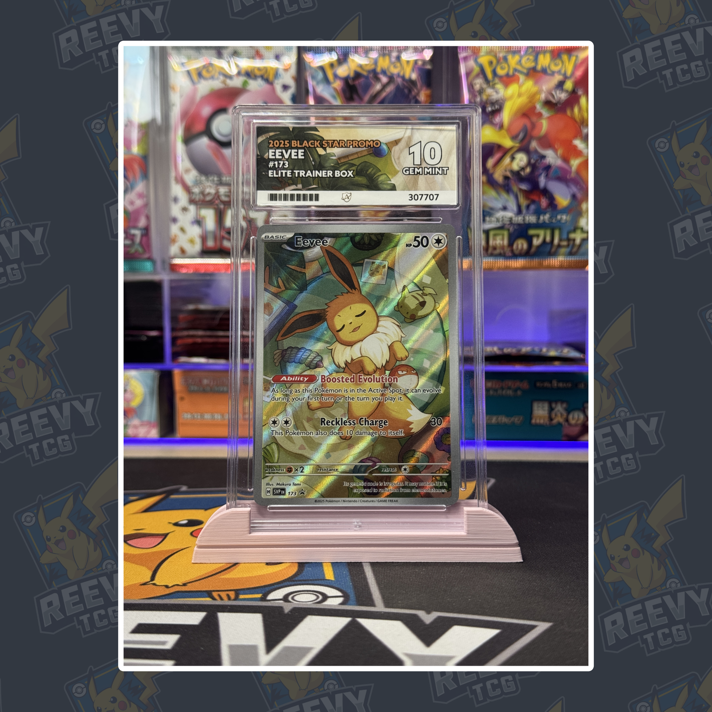 Reevy TCG - ACE/PSA Premium Card Stand