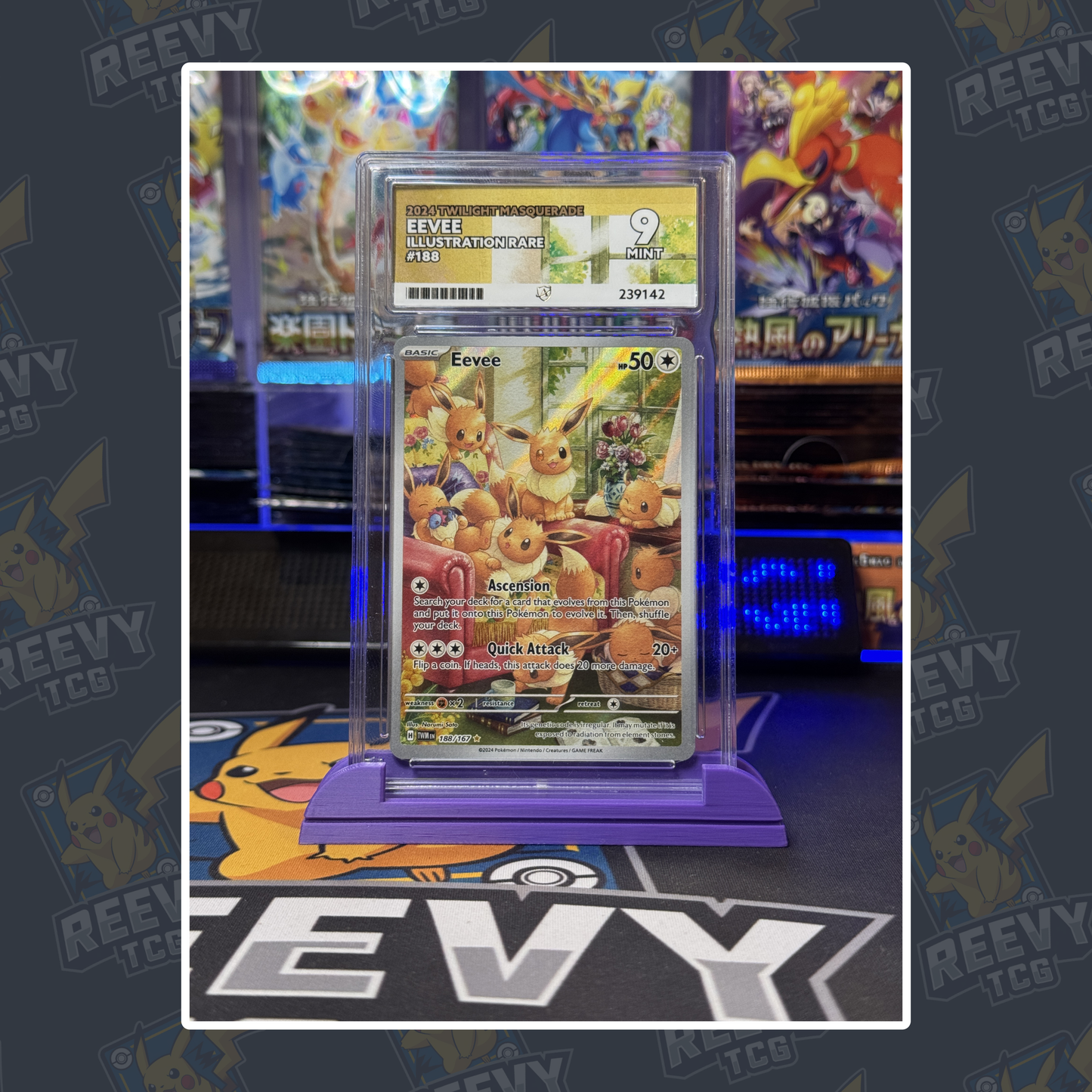 Reevy TCG - ACE/PSA Premium Card Stand