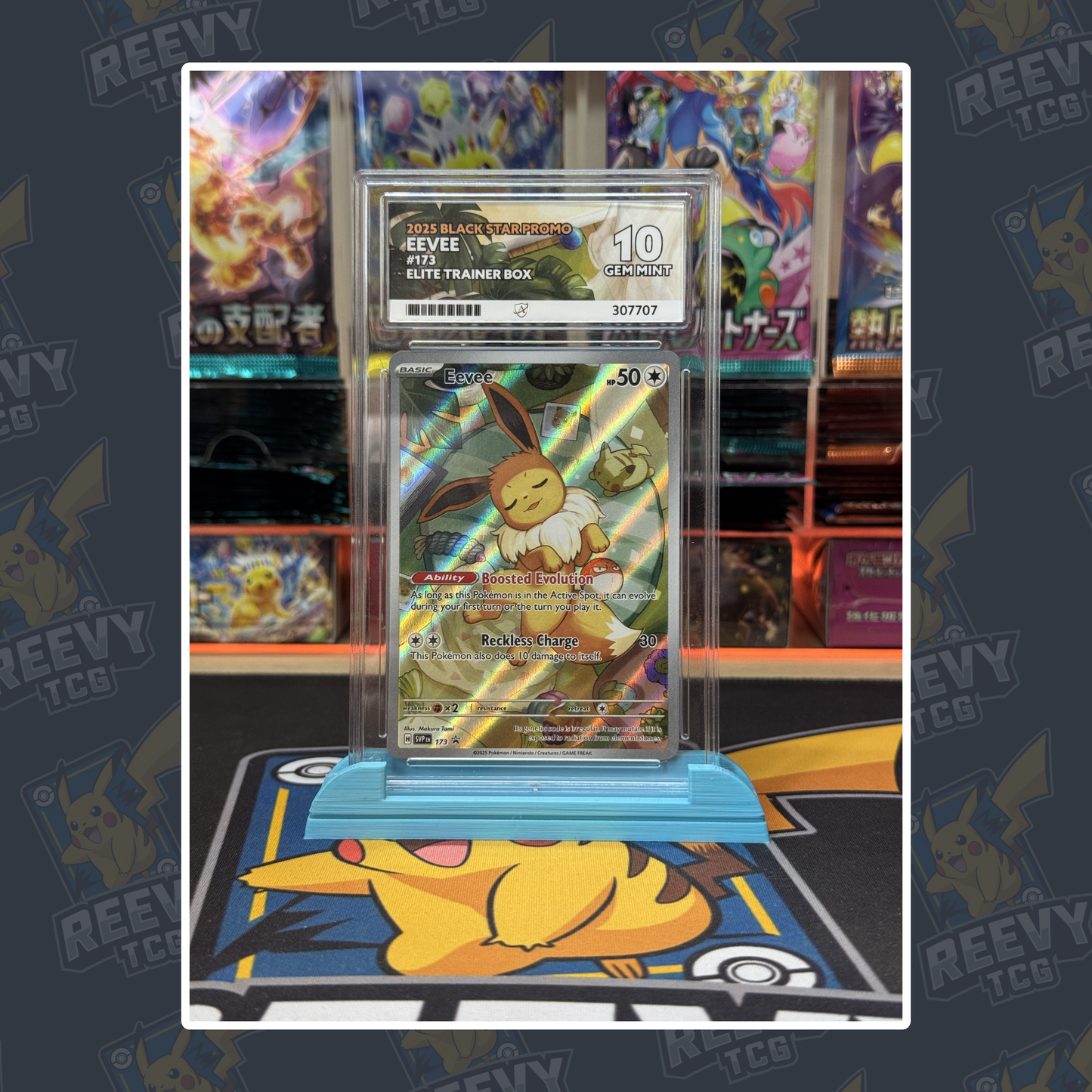 Reevy TCG - ACE/PSA Premium Card Stand