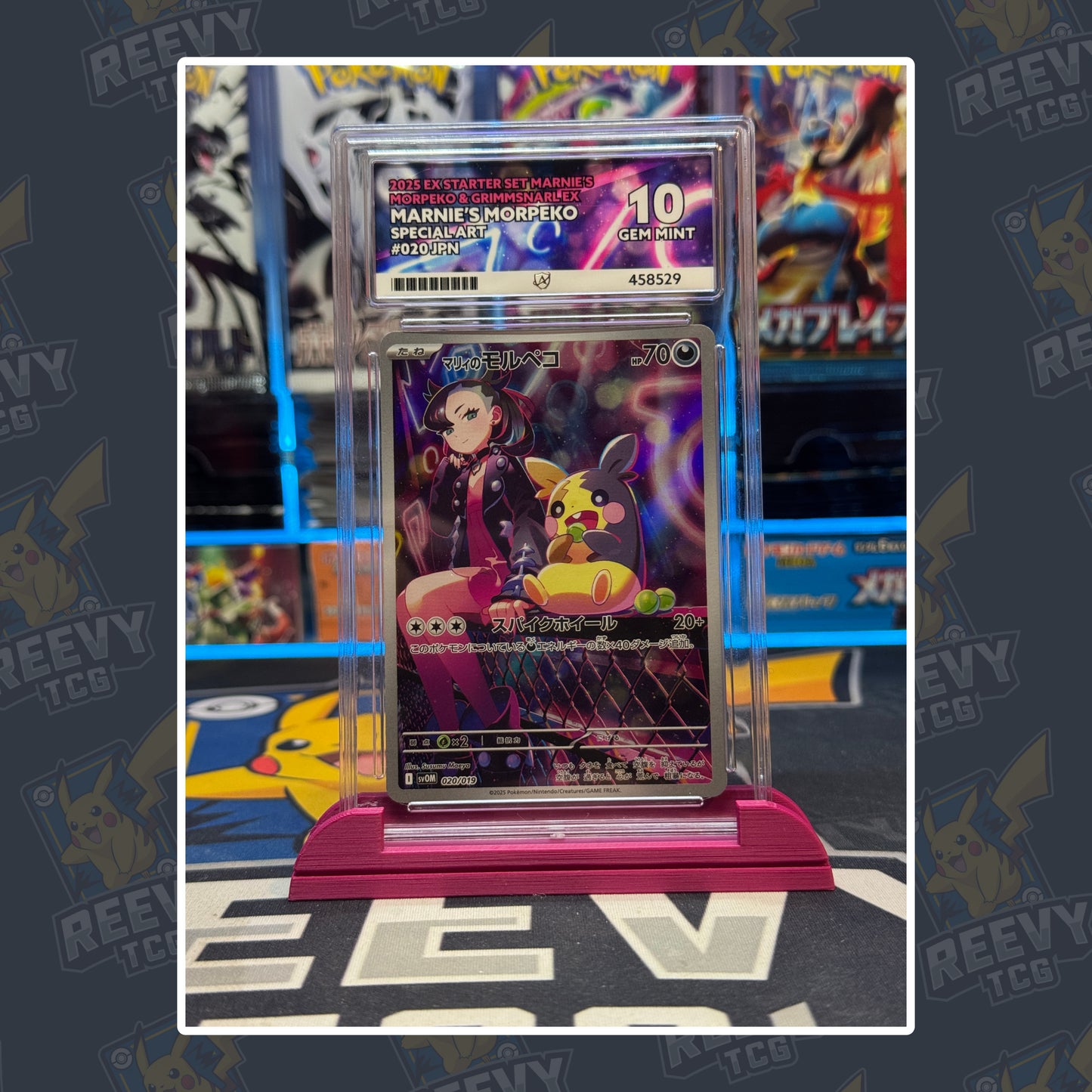 Reevy TCG - ACE/PSA Premium Card Stand