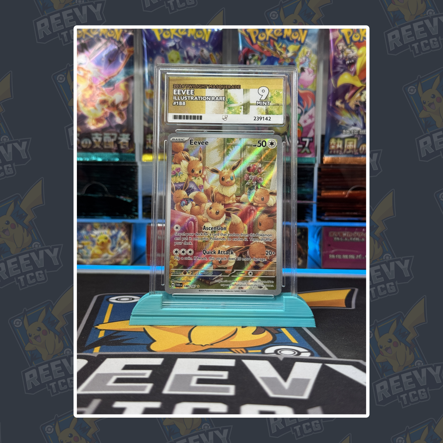Reevy TCG - ACE/PSA Premium Card Stand