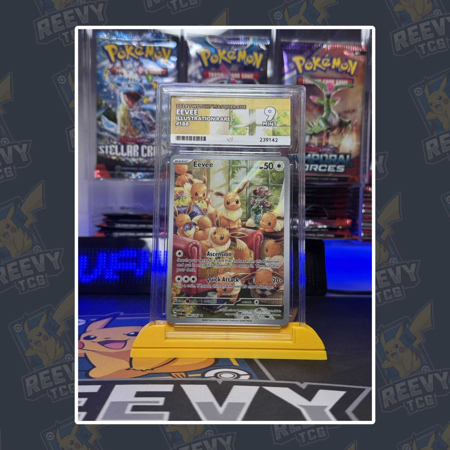 Reevy TCG - ACE/PSA Premium Card Stand
